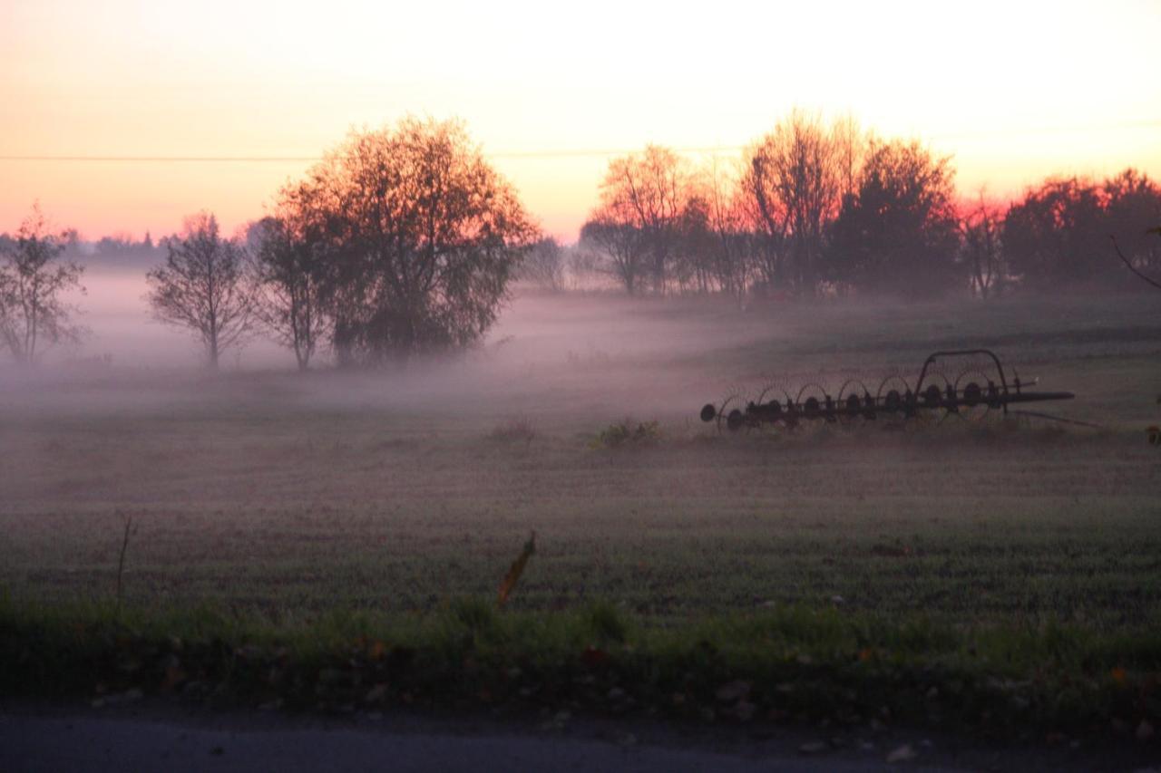 Segment Rodzinny Stara Szkola Weremowice Exteriér fotografie