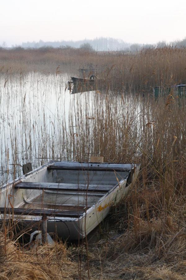 Segment Rodzinny Stara Szkola Weremowice Exteriér fotografie